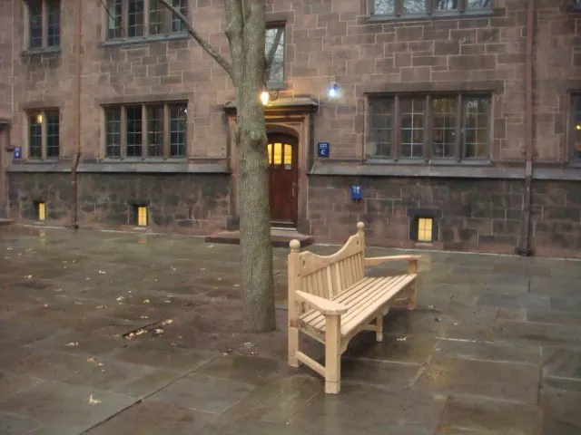 Collegiate Gothic, plate 148, 2011